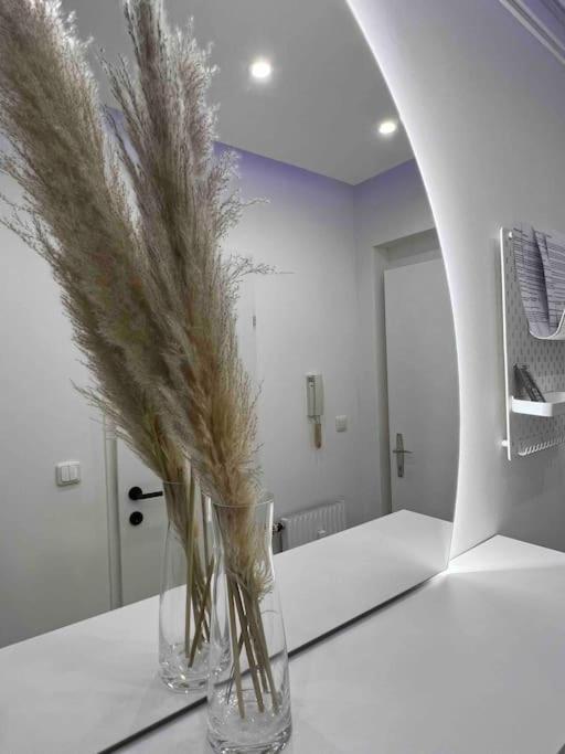 Traum Wohnung Mit Kingsize-Bett Graz Ngoại thất bức ảnh